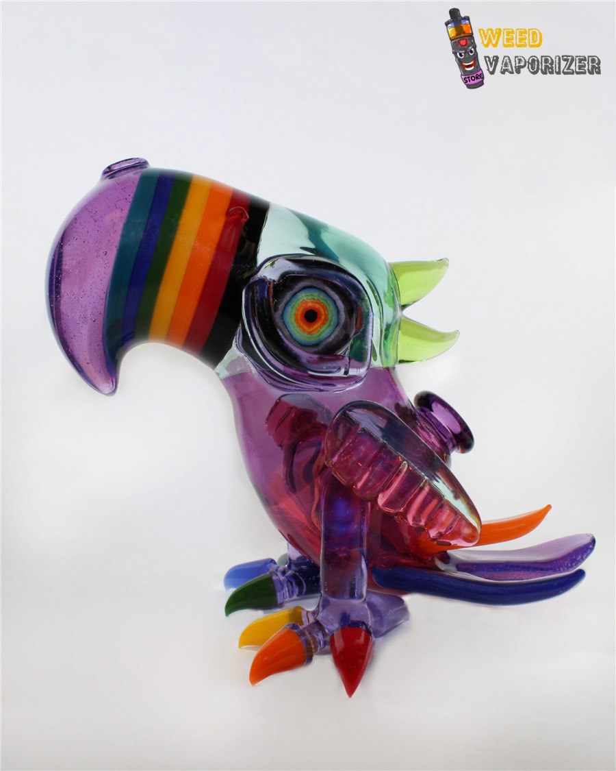 Buy RJ GLASS: RAINBOW NOSE MACAW BIRD