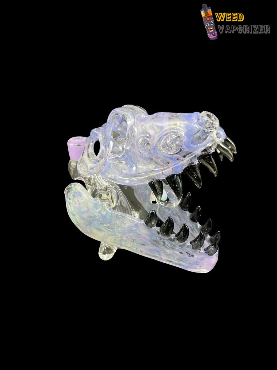 Buy SLURM SNOB GLASS: PURPLE W/ CRUSHED BLACK OPAL TEETH DINO SKULL RIG