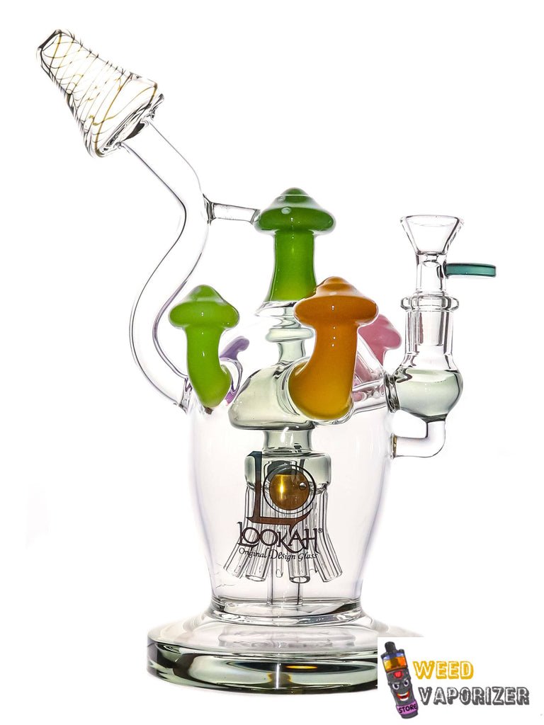 lookah_mushroom_bong_pipe_grey_right_1024x1024